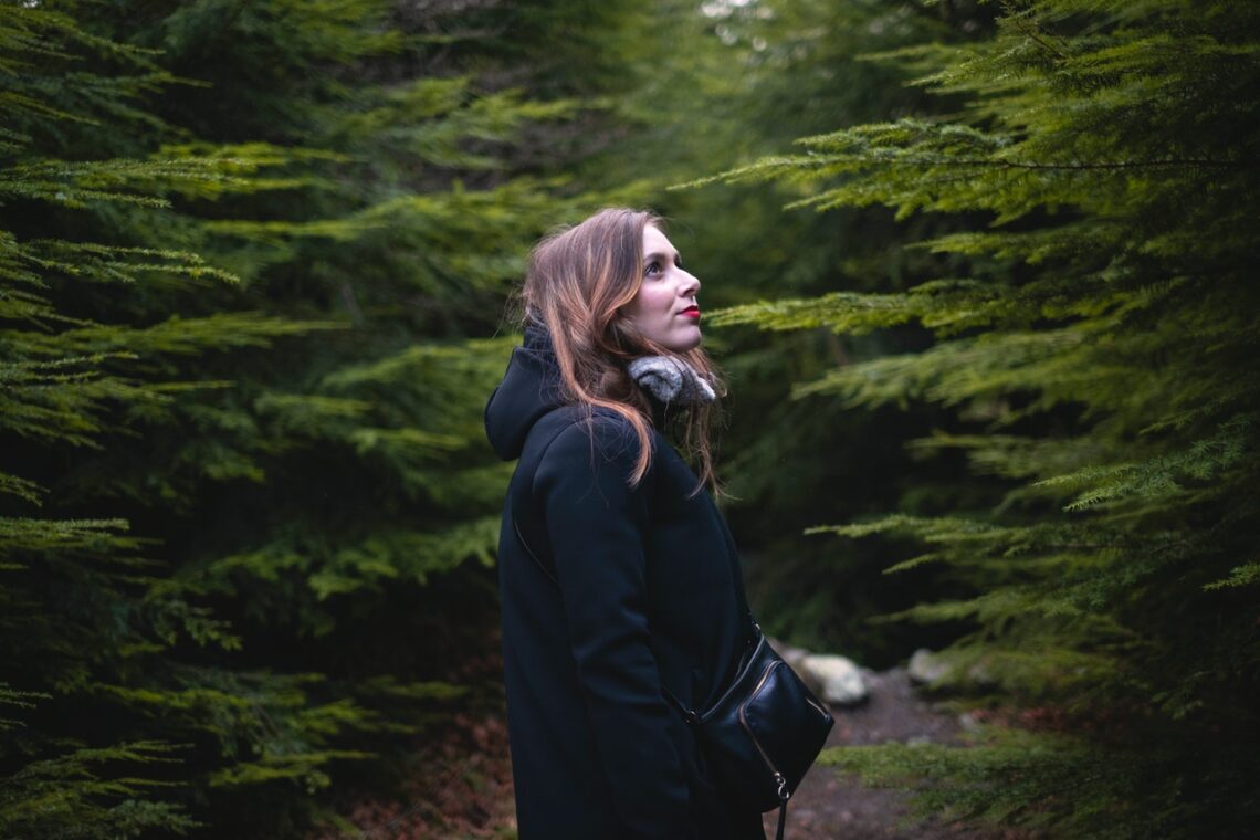 Tree Removal San Diego