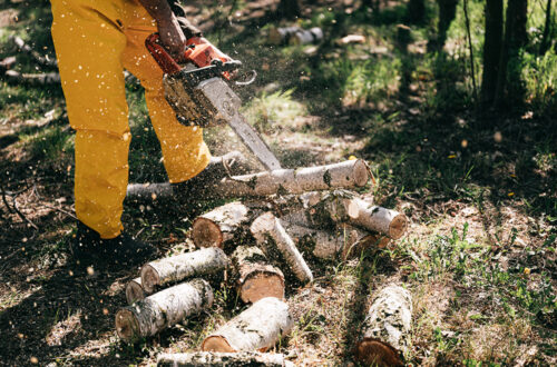 tree removal