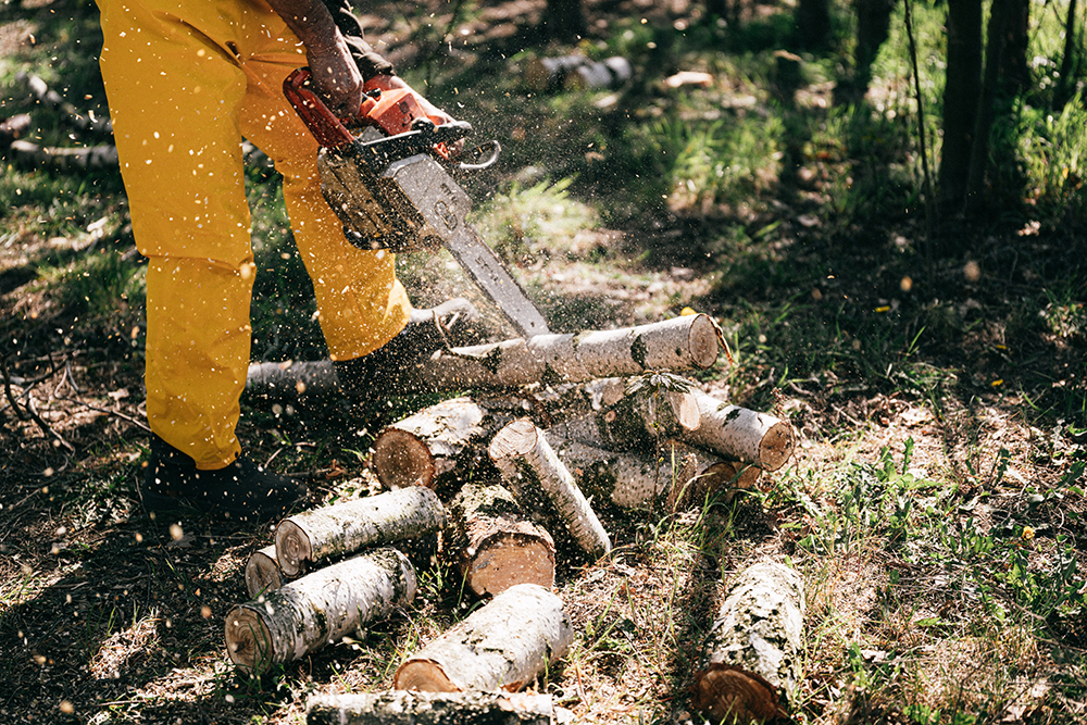 tree removal